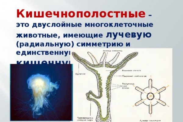 Кракен зеркало