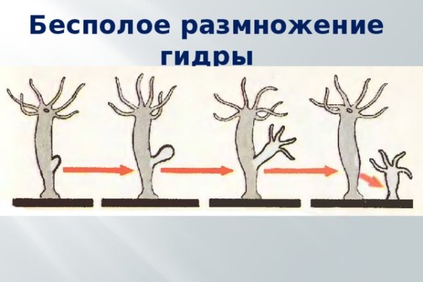 Кракен тор kr2web in