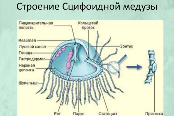 Кракен это даркнет