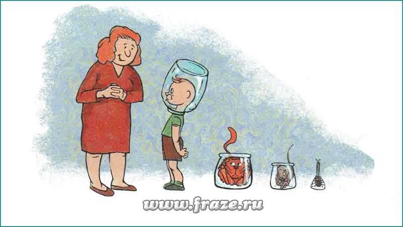 Kraken ссылка onion 2kmp